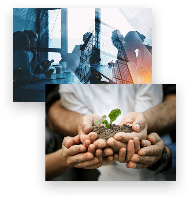 About Us – paras